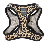 Javan Step In Harness FINAL SALE NO RETURNS OR EXCHANGES